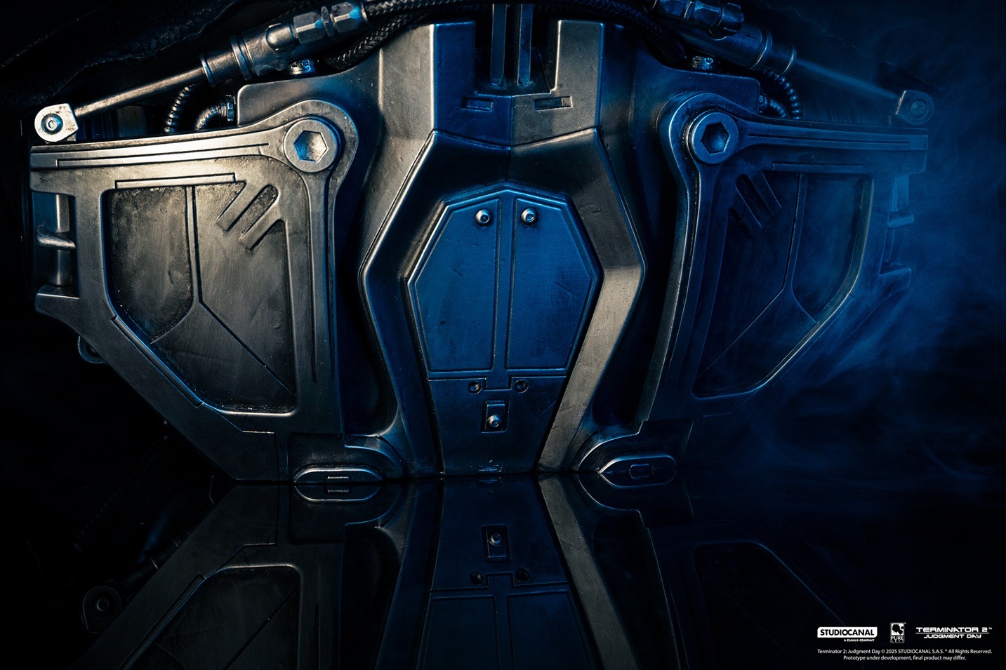 ���������ʸ�Բľ���/�������ۥ����ߥ͡�����2 T2/T-800��1/1 �饤�ե����� �����ȥޥ�����ͽ��