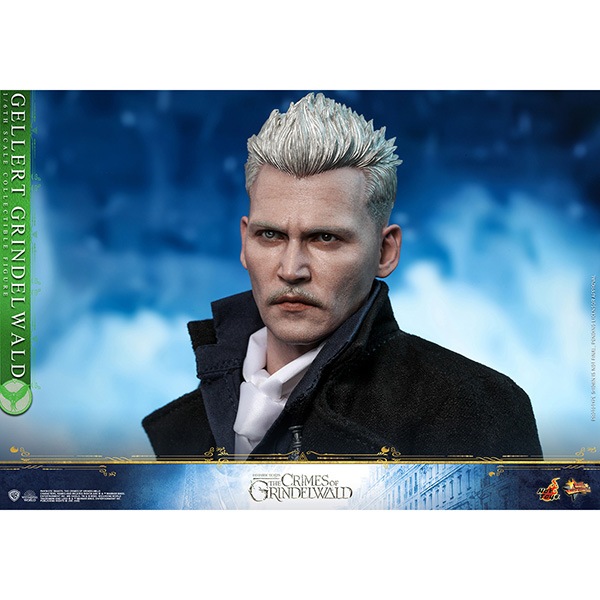 �ե��󥿥��ƥ��å����ӡ����Ȥȹ�����ˡ�Ȥ����������ࡼ�ӡ����ޥ������ԡ���1/6�������롡�ե����奢�����顼�ȡ������ǥ�Х�� ͽ��