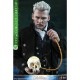 �ե��󥿥��ƥ��å����ӡ����Ȥȹ�����ˡ�Ȥ����������ࡼ�ӡ����ޥ������ԡ���1/6�������롡�ե����奢�����顼�ȡ������ǥ�Х�� ͽ��