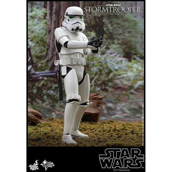 �������������������ࡼ�ӡ����ޥ������ԡ���1/6��������ե����奢�����ȡ���ȥ롼�ѡ�