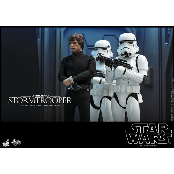 �������������������ࡼ�ӡ����ޥ������ԡ���1/6��������ե����奢�����ȡ���ȥ롼�ѡ�