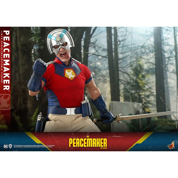 �ԡ����ᥤ�������ƥ�ӡ��ޥ������ԡ���1/6��������ե����奢���ԡ����ᥤ������ͽ��