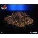 ����饷�å����ѡ�����1/35�������른����ޥ������塼�����å����ȥꥱ��ȥץ� ͽ��