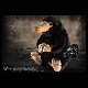 �ե��󥿥��ƥ��å����ӡ����ȡ��˥ե顼���ץ�å��塡13175