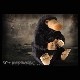 �ե��󥿥��ƥ��å����ӡ����ȡ��˥ե顼���ץ�å��塡13175