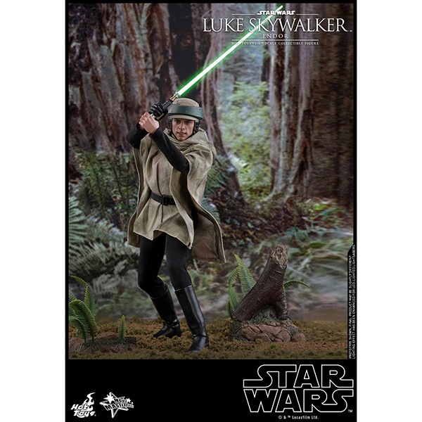 ���������������������ԥ�����6/���������ε��ԡ��ࡼ�ӡ����ޥ������ԡ���1/6��������ե����奢���롼�������������������� ͽ��