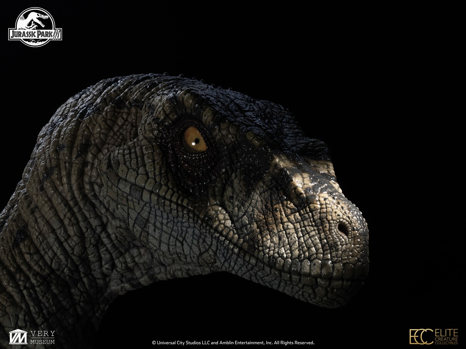 饷åѡ1/1Хȡץȥ롡"ۥ磻ȥ"ͽ