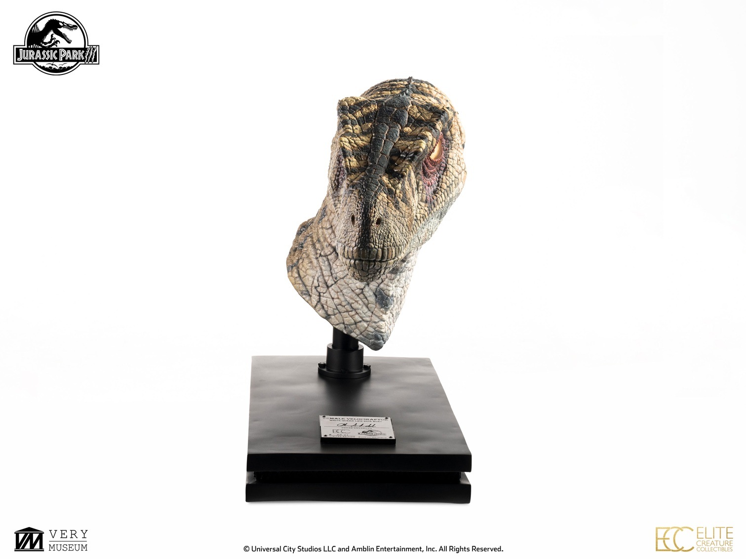 饷åѡ1/1Хȡץȥ롡"ۥ磻ȥ"ͽ