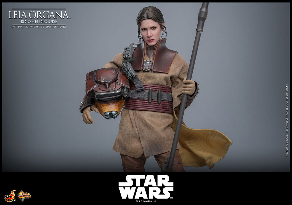 ���������������� ���ԥ�����6/���������ε��ԡ��ࡼ�ӡ����ޥ������ԡ��� 1/6��������ե����奢���쥤������������(�֡���)��ͽ��