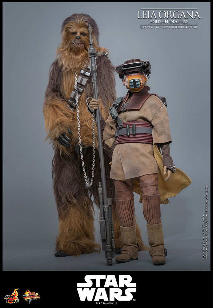 ���������������� ���ԥ�����6/���������ε��ԡ��ࡼ�ӡ����ޥ������ԡ��� 1/6��������ե����奢���쥤������������(�֡���)��ͽ��