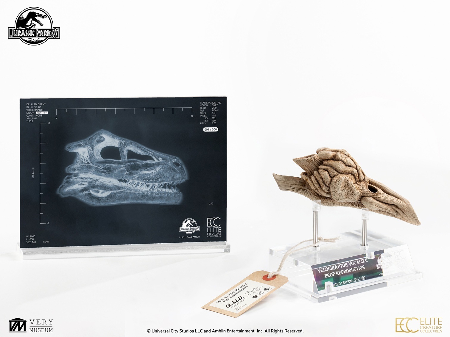 饷åѡ1/1롡ץåץץ󡡥ץȥζĹСͽ