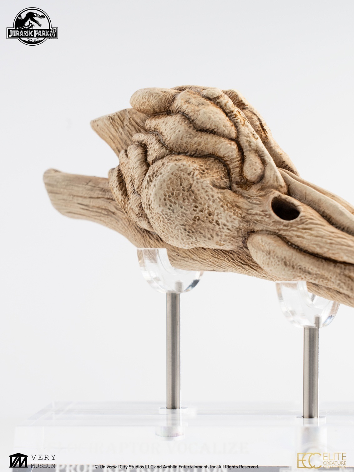 饷åѡ1/1롡ץåץץ󡡥ץȥζĹСͽ