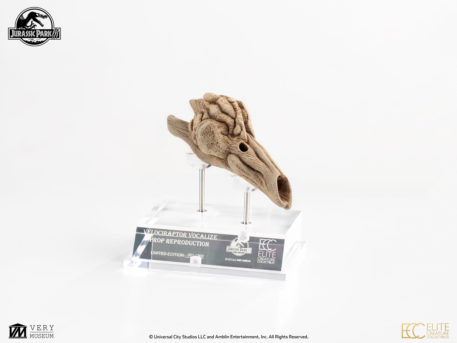 饷åѡ1/1롡ץåץץ󡡥ץȥζĹСͽ