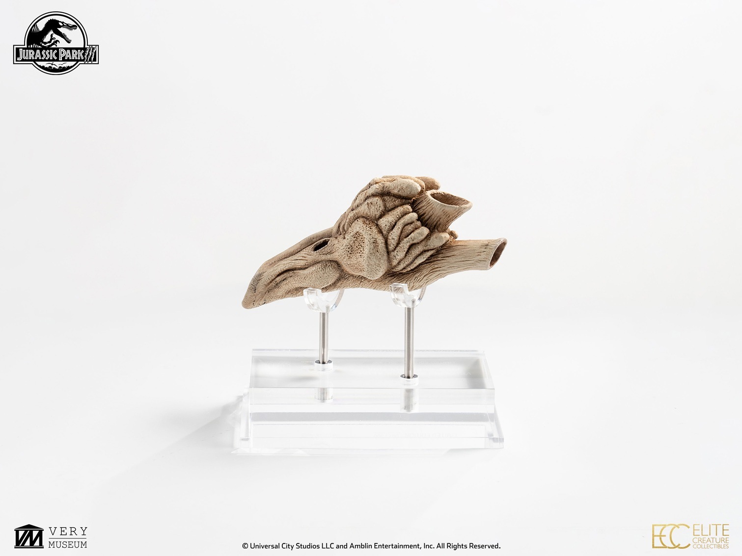 饷åѡ1/1롡ץåץץ󡡥ץȥζĹСͽ