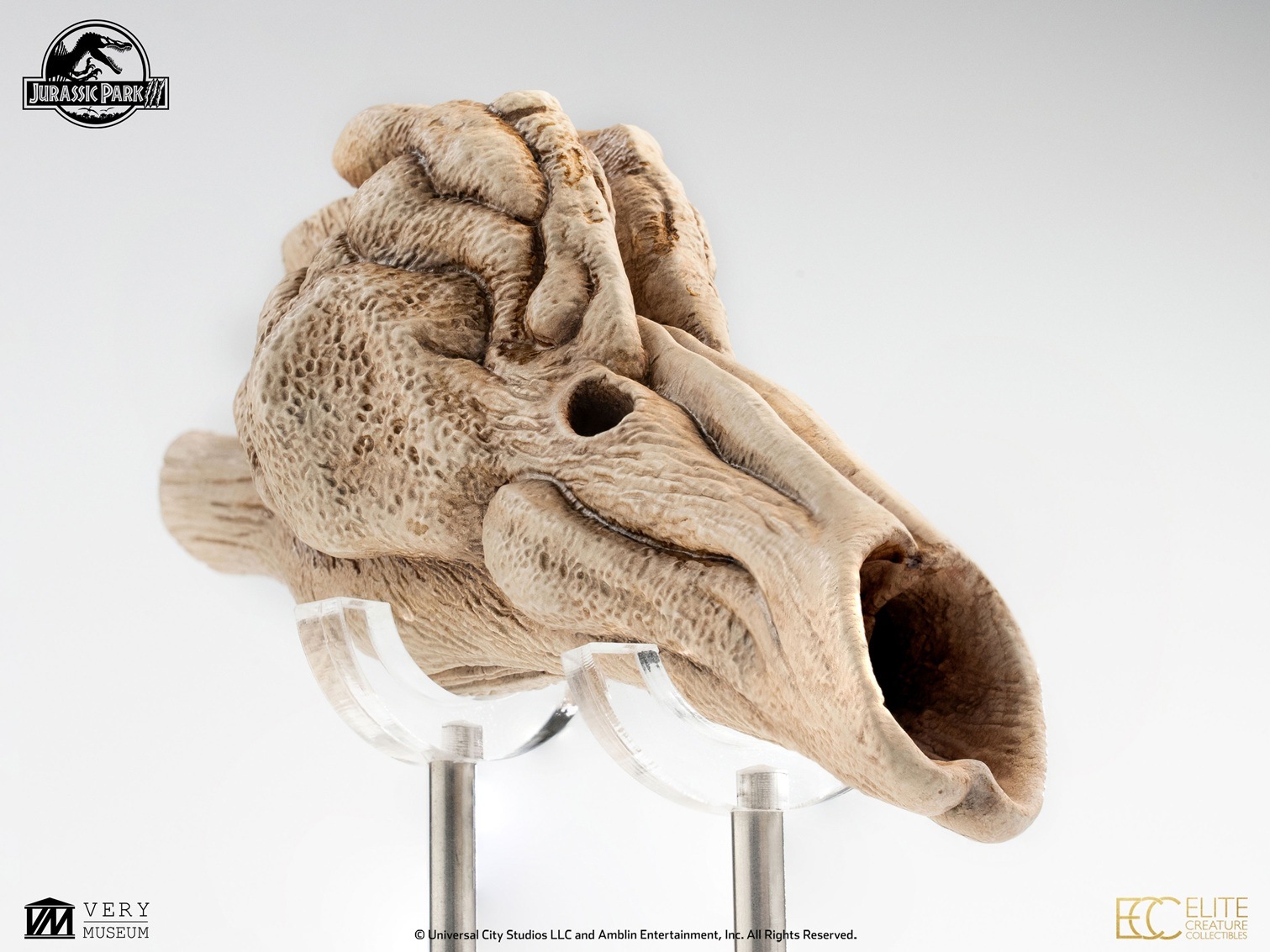 饷åѡ1/1롡ץåץץ󡡥ץȥζĹСͽ