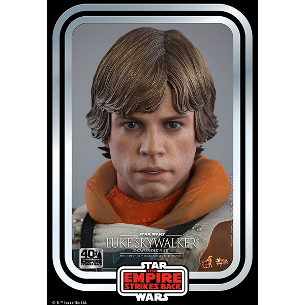 �ڥ������ॻ�����ʡۥ�����������������Ep�����εս����ࡼ�ӡ����ޥ������ԡ�����1/6��������ե����奢���롼���������������������ʥ��Ρ����ԡ������ѥ����å��ǡˡ�������������������Ep������40��ǯ��ǰ�ǡ� 15242