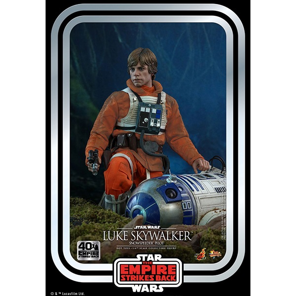 �ڥ������ॻ�����ʡۥ�����������������Ep�����εս����ࡼ�ӡ����ޥ������ԡ�����1/6��������ե����奢���롼���������������������ʥ��Ρ����ԡ������ѥ����å��ǡˡ�������������������Ep������40��ǯ��ǰ�ǡ� 15242