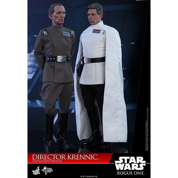 �����������/���������������������ȡ��꡼���ࡼ�ӡ����ޥ������ԡ�����1/6��������ե����奢���������󡦥���˥å� ͽ��