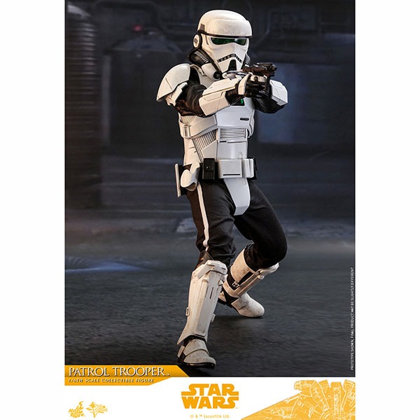 ϥ󡦥/ȡ꡼ࡼӡޥԡ1/6ե奢ѥȥ뎥ȥ롼ѡ ͽ