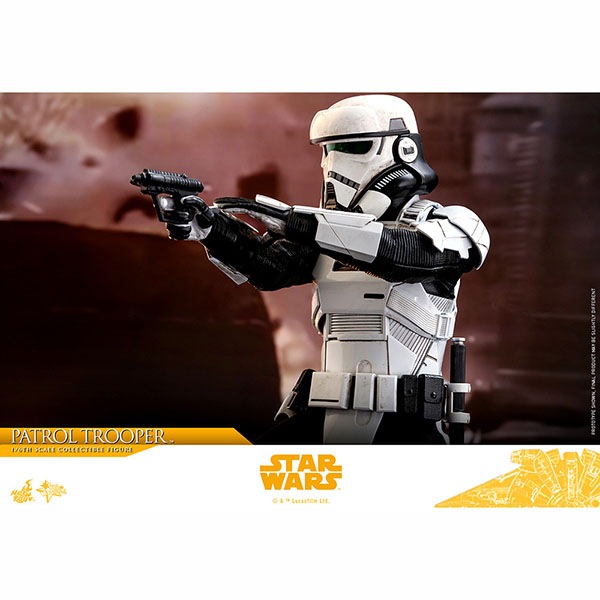 ϥ󡦥/ȡ꡼ࡼӡޥԡ1/6ե奢ѥȥ뎥ȥ롼ѡ ͽ