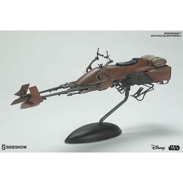 ������������������1/6��������ӡ����롡���ԡ��������Х����ʥС������2�� ͽ��