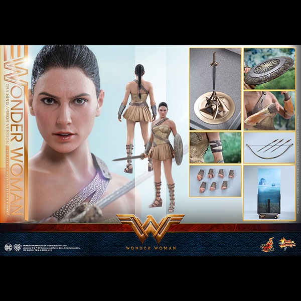 ޥ󡡥ࡼӡޥԡ1/6ե奢ޥʥȥ졼˥󥰡ޡǡ ͽ