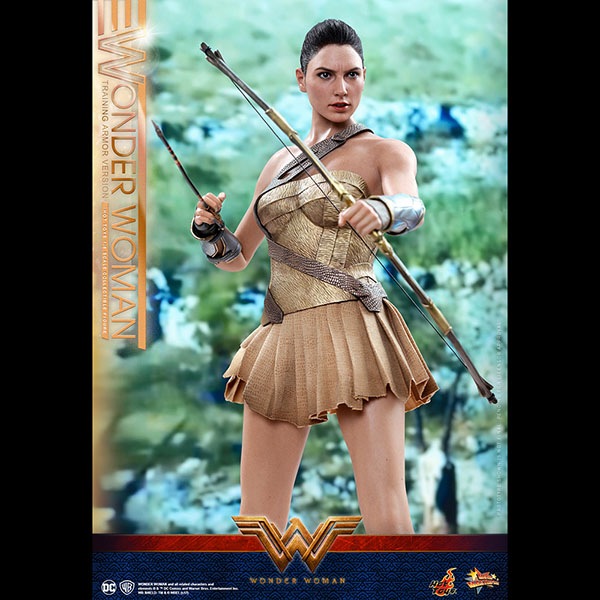 ޥ󡡥ࡼӡޥԡ1/6ե奢ޥʥȥ졼˥󥰡ޡǡ ͽ