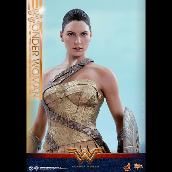 ޥ󡡥ࡼӡޥԡ1/6ե奢ޥʥȥ졼˥󥰡ޡǡ ͽ