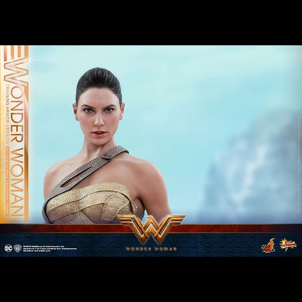 ޥ󡡥ࡼӡޥԡ1/6ե奢ޥʥȥ졼˥󥰡ޡǡ ͽ