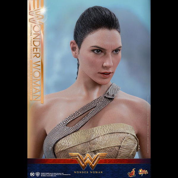 ޥ󡡥ࡼӡޥԡ1/6ե奢ޥʥȥ졼˥󥰡ޡǡ ͽ