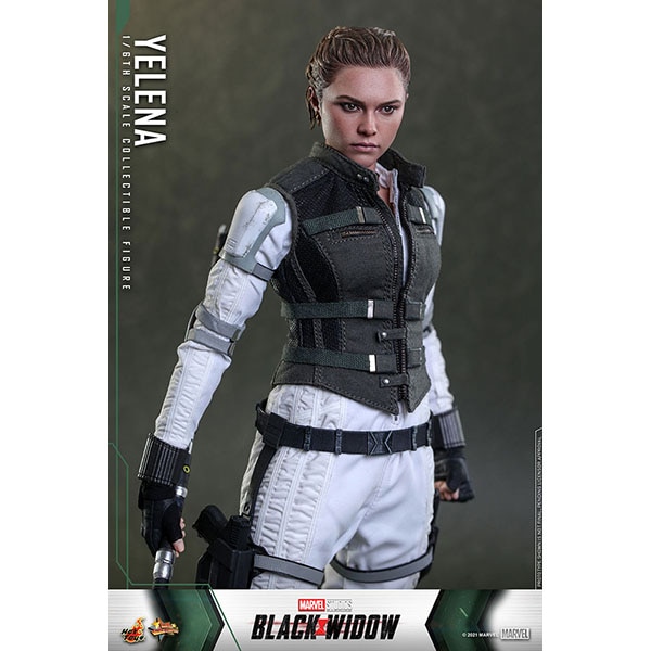 ֥åɥࡼӡޥԡ1/6ե奢졼ʡ٥ͽ