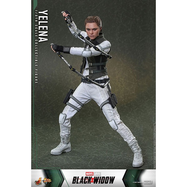 ֥åɥࡼӡޥԡ1/6ե奢졼ʡ٥ͽ