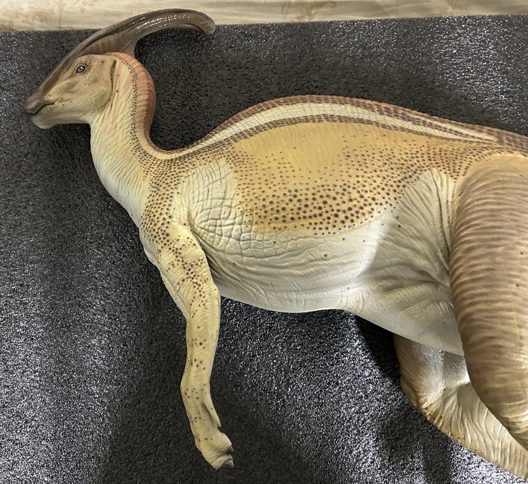 ڥȥå/Ѥ/Զͭۥȡ/饷åѡ2 1/8ޥå ѥ饵ե 