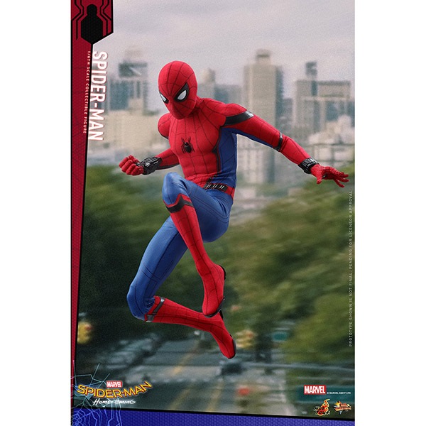 ���ѥ������ޥ󡧥ۡ��५�ߥ󥰡��ࡼ�ӡ����ޥ������ԡ�����1/6��������ե����奢 ���ѥ������ޥ� ͽ��