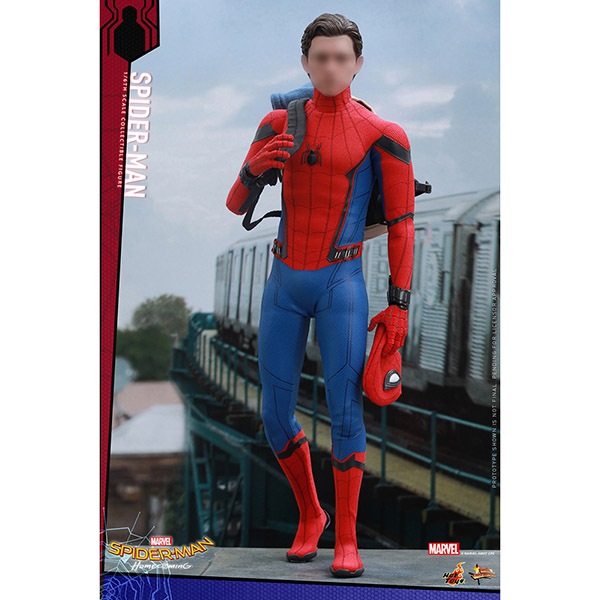 ���ѥ������ޥ󡧥ۡ��५�ߥ󥰡��ࡼ�ӡ����ޥ������ԡ�����1/6��������ե����奢 ���ѥ������ޥ� ͽ��