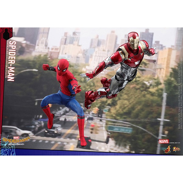 ���ѥ������ޥ󡧥ۡ��५�ߥ󥰡��ࡼ�ӡ����ޥ������ԡ�����1/6��������ե����奢 ���ѥ������ޥ� ͽ��