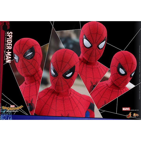 ���ѥ������ޥ󡧥ۡ��५�ߥ󥰡��ࡼ�ӡ����ޥ������ԡ�����1/6��������ե����奢 ���ѥ������ޥ� ͽ��