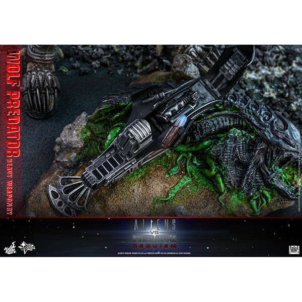 AVP2ࡼӡޥԡ1/6ե奢աץǥʽǡ ͽ