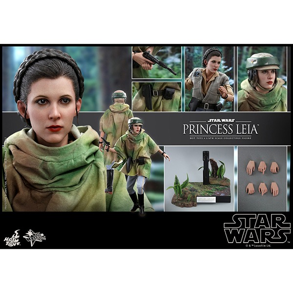 ���������������������ԥ�����6/���������ε��ԡ��ࡼ�ӡ����ޥ������ԡ���1/6��������ե����奢���ץ�󥻥����쥤�� ͽ��