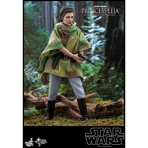 ���������������������ԥ�����6/���������ε��ԡ��ࡼ�ӡ����ޥ������ԡ���1/6��������ե����奢���ץ�󥻥����쥤�� ͽ��