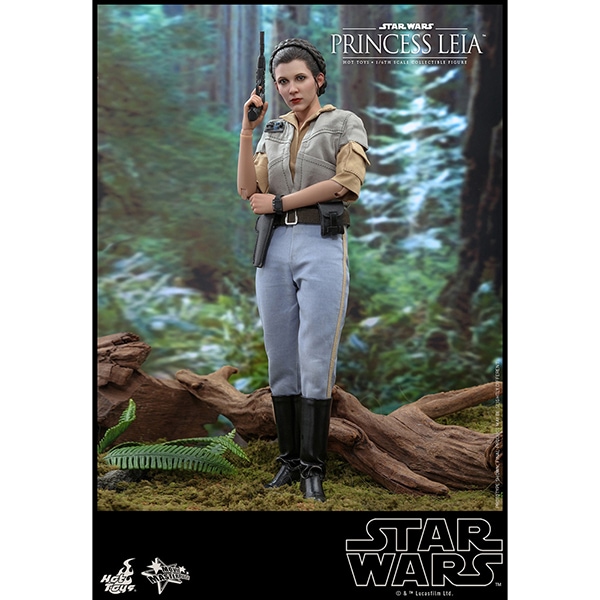 ���������������������ԥ�����6/���������ε��ԡ��ࡼ�ӡ����ޥ������ԡ���1/6��������ե����奢���ץ�󥻥����쥤�� ͽ��