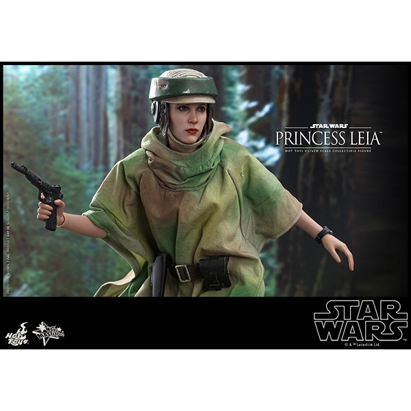 ���������������������ԥ�����6/���������ε��ԡ��ࡼ�ӡ����ޥ������ԡ���1/6��������ե����奢���ץ�󥻥����쥤�� ͽ��