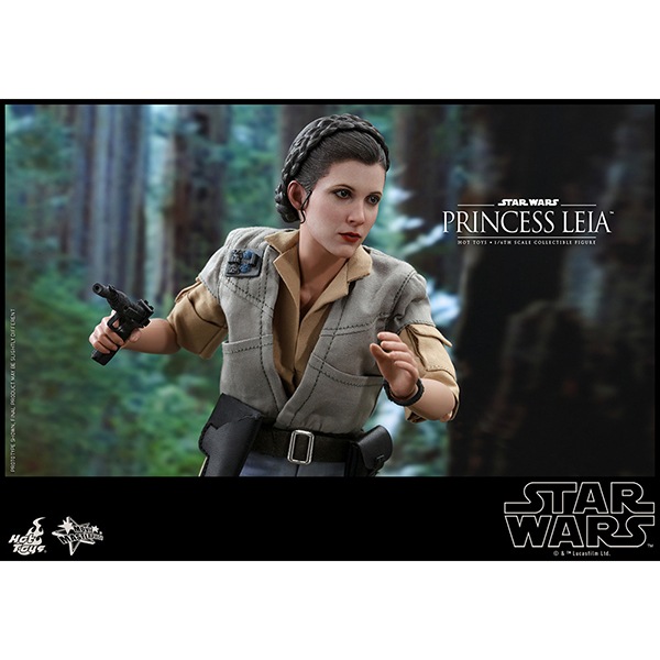 ���������������������ԥ�����6/���������ε��ԡ��ࡼ�ӡ����ޥ������ԡ���1/6��������ե����奢���ץ�󥻥����쥤�� ͽ��