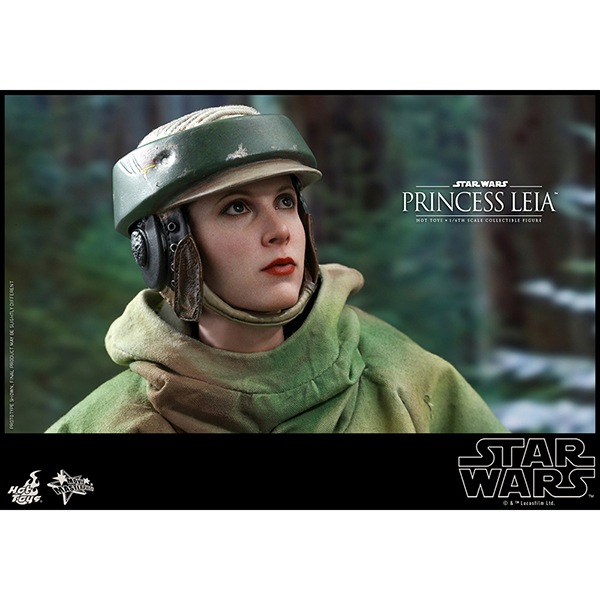 ���������������������ԥ�����6/���������ε��ԡ��ࡼ�ӡ����ޥ������ԡ���1/6��������ե����奢���ץ�󥻥����쥤�� ͽ��