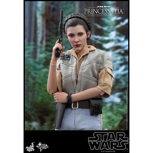 ���������������������ԥ�����6/���������ε��ԡ��ࡼ�ӡ����ޥ������ԡ���1/6��������ե����奢���ץ�󥻥����쥤�� ͽ��