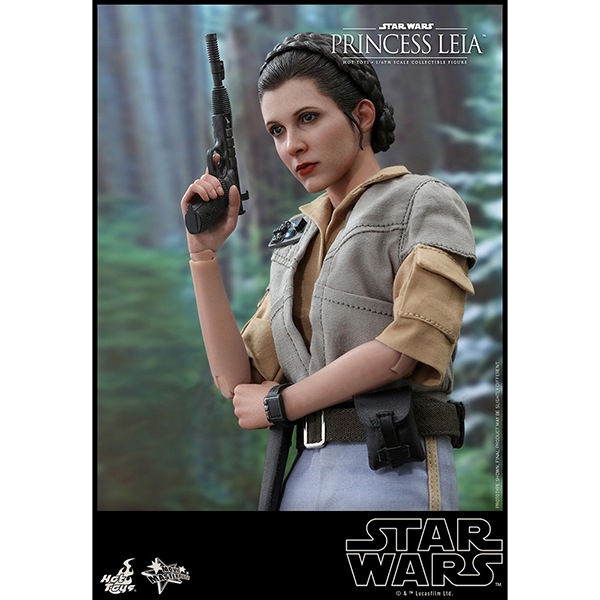 ���������������������ԥ�����6/���������ε��ԡ��ࡼ�ӡ����ޥ������ԡ���1/6��������ե����奢���ץ�󥻥����쥤�� ͽ��