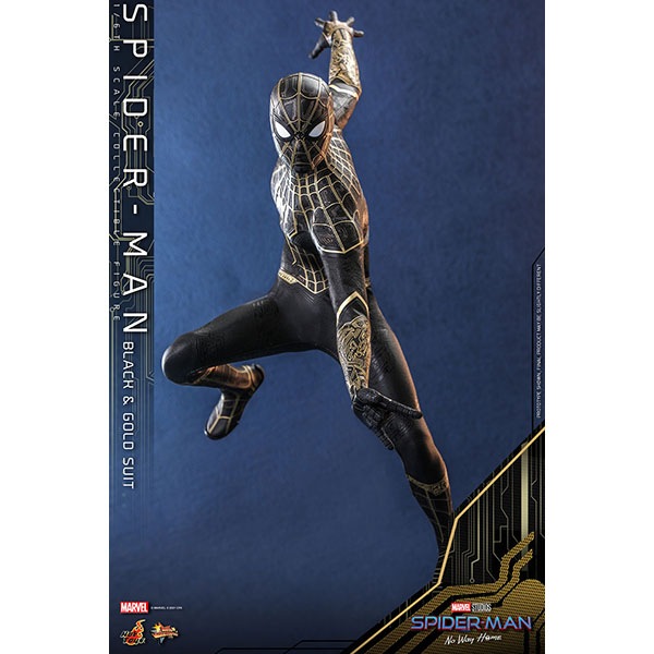 ѥޥ󡧥Ρۡࡡࡼӡޥԡ1/6롡ե奢ѥޥʥ֥åɡǡˡͽ