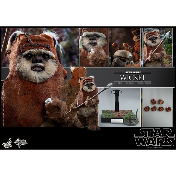 ���������������������ԥ�����6/���������ε��ԡ��ࡼ�ӡ����ޥ������ԡ���1/6��������ե����奢���������å� ͽ��