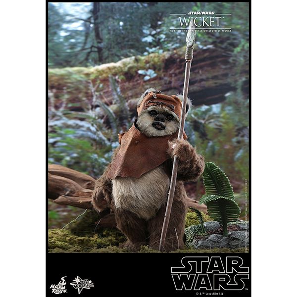 ���������������������ԥ�����6/���������ε��ԡ��ࡼ�ӡ����ޥ������ԡ���1/6��������ե����奢���������å� ͽ��