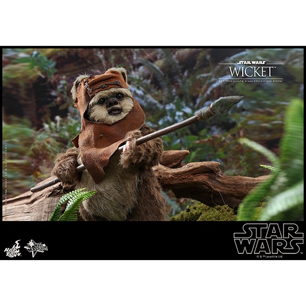 ���������������������ԥ�����6/���������ε��ԡ��ࡼ�ӡ����ޥ������ԡ���1/6��������ե����奢���������å� ͽ��